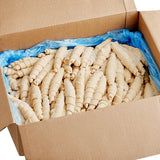 Upper Crust Deluxe Donut Croissant Dough 2 oz. - 160/Case