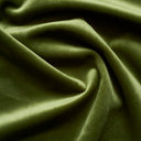 1 Yard Giselle Plush Velvet Fabric Luxuriously Soft & Richly Textured 100% Polyester, 55" Wide