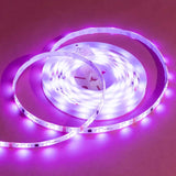 Christmas 300 LED Rope Lights