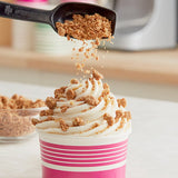 Cinnamon Streusel Ice Cream Topping and Inclusion 10 lb.