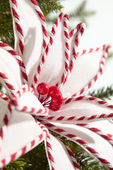 19" x 12" White and Red Poinsettia Stem