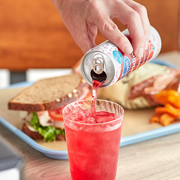 Ocean Spray Sparkling Cranberry Juice Cocktail 11.5 fl. oz. - 24/Case