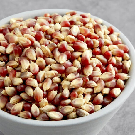 Amish Country Purple Butterfly Popcorn Kernels 50 lb.