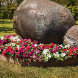 Impatiens Imara XDR Rosy Mix F1 Seed