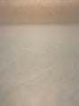 Champagne Sheer Voile Polyester Fabric - Champagne Sheer, 120" Wide (1 Yard)
