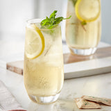 Davidson's Organic Lemon Spearmint Herbal Iced Tea Filter Packs 1 Gallon - 48/Case