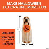 23 1/4" Light-Up Ghost Dog Blow Mold with C7 LED Halloween Decoration