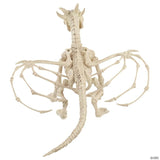23" Skeleton Dragon Prop
