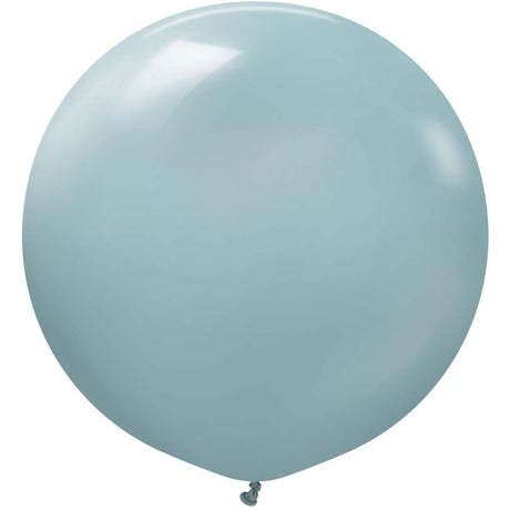 Latex Balloons 24 Inch Kalisan Retro Storm