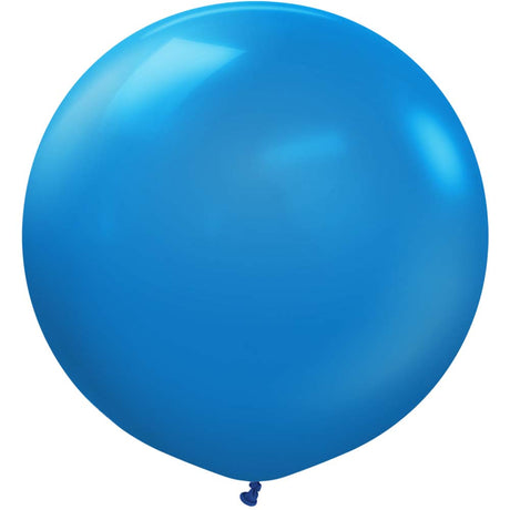24 Inch Blue Latex Balloons