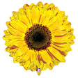 Foil Balloon Yellow Flower 24 Inch