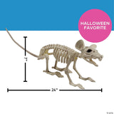 24" x 7" Rat Skeleton Plastic Halloween Tabletop Decoration