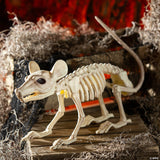 24" x 7" Rat Skeleton Plastic Halloween Tabletop Decoration