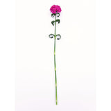 Dianthus Sweet Neon Purple F1 Seed