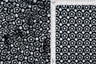 Double Knit Jacquard Floral Fabric