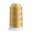 Polyester Thread Gray/Gold Variegated 40 Weight 1650 Yards