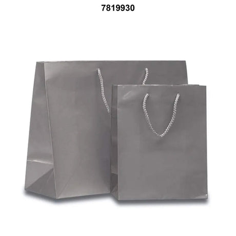 Compact Glossy Euro Totes 6 1/4'' x 3 1/2'' x 8 1/2'' for Retail Packaging