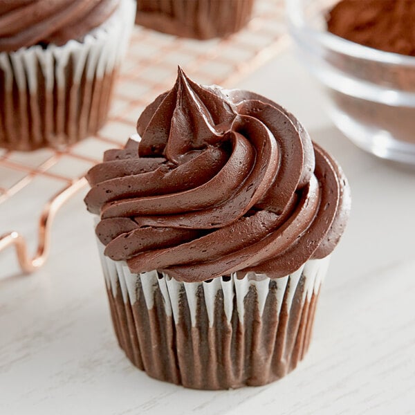 HERSHEY'S 10-12% Fat Dutch Cocoa Powder 25 lb.