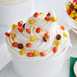 REESE'S Mini Pieces 25 lb.