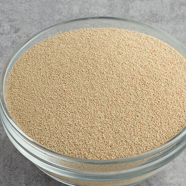 Bob's Red Mill Gluten-Free Active Dry Yeast 8 oz. - 5/Case