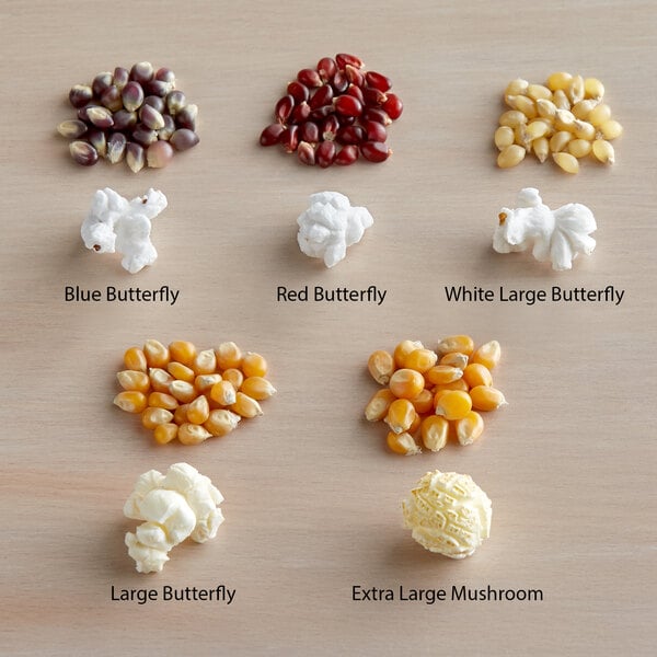 Amish Country Blue Butterfly Popcorn Kernels 50 lb.
