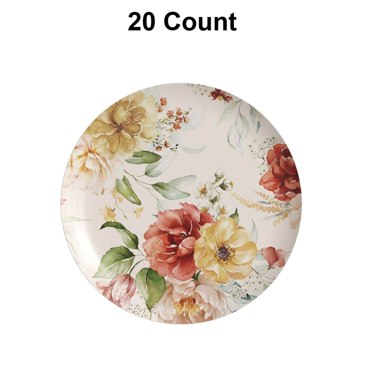 20 Count Elegant 10 Inch Earthtrends Aviv Design Paper Plates for Parties and Special Events