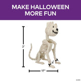 24 1/4" Sitting Pumpkin-Head Dog Skeleton Halloween Decoration