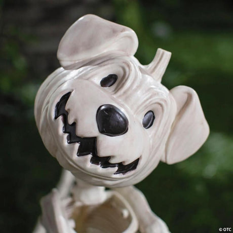 RADYAN Sitting Dog Skeleton with Pumpkin Head Halloween Tabletop Decoration shown in a clear product image