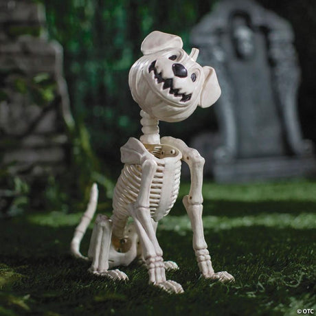 RADYAN Sitting Dog Skeleton with Pumpkin Head Halloween Tabletop Decoration shown in a clear product image
