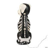 24" Light-Up Skeleton Dog Blow Mold with C7 LED Halloween Decoration