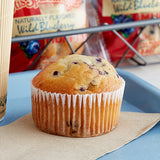 Otis Spunkmeyer Individually Wrapped Wild Blueberry Muffin 4 oz. - 24/Case