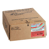 Original Slushie Company Blue Raspberry Carbonated Slushy 5:1 Concentrate 2.5 Gallon Bag In Box