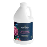 Capora Blueberry Pomegranate Fruit Smoothie Mix 64 fl. oz.