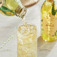 Harney & Sons Organic Apple Juice 16 fl. oz. - 12/Case