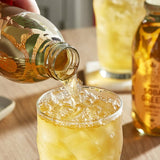 Harney & Sons Organic Soba Green Iced Tea 16 fl. oz. - 12/Case