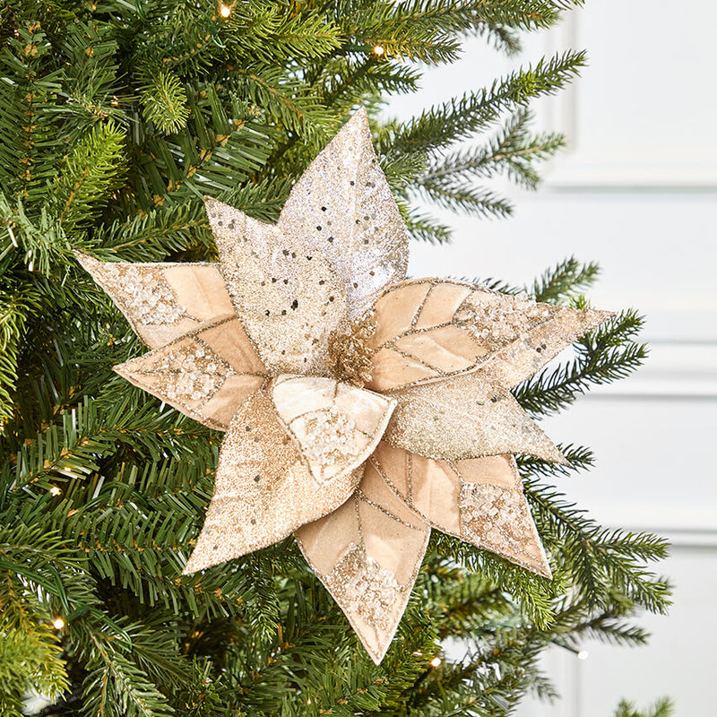 20" x 12" Champagne Jeweled Velvet Poinsettia Stem