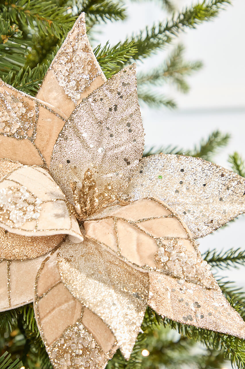 20" x 12" Champagne Jeweled Velvet Poinsettia Stem