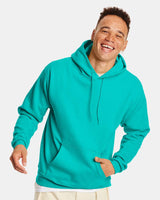 Hanes® Ecosmart Long Sleeve Hooded Sweatshirt