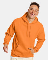 Hanes® Ecosmart Long Sleeve Hooded Sweatshirt