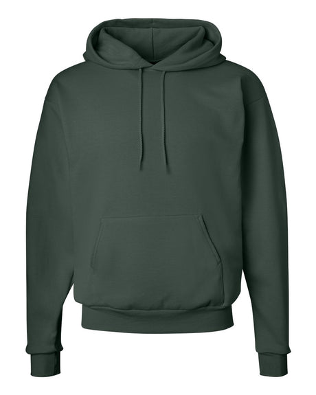 Hanes® Ecosmart Long Sleeve Hooded Sweatshirt