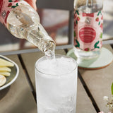 Reading Soda Works Strawberry Mint Lemongrass Sparkling Botanical Soda 12 fl. oz. - 12/Case