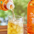 Ito En Oi Ocha Hojicha Roasted Green Iced Tea 16.9 fl. oz. - 12/Case