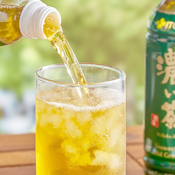 Ito En Oi Ocha Koicha Bold Green Iced Tea 16.9 fl. oz. - 12/Case