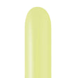 Latex Entertainer Balloons 260K Kalisan Macaron Pistachio
