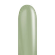Latex Balloons 260S Sempertex Deluxe Eucalyptus Green