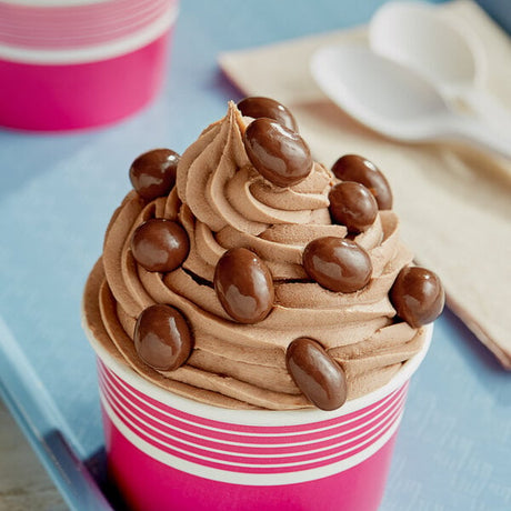Albanese Milk Chocolate Covered Peanuts 10 lb.