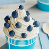 Albanese Milk Chocolate Covered Dried Blueberries 10 lb.