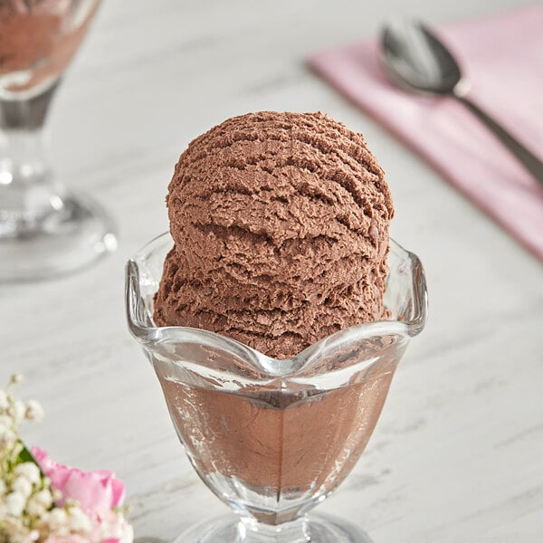 I. Rice Double Dark Chocolate Hard Serve Ice Cream Base #10 Can