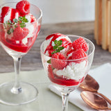 Perfect Puree Red Raspberry Puree 30 oz.