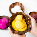 Pitaya Foods Organic Passion Fruit Sorbet 3 Gallon